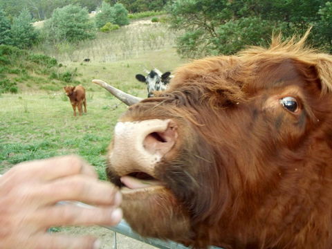 Eden Orchard & Farmstay - Darwin Holiday 25