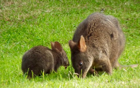 Eden Orchard & Farmstay - Darwin Holiday 31