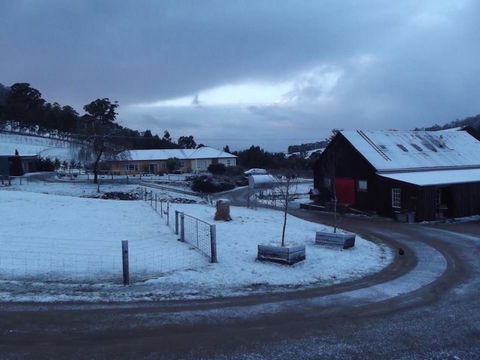 Eden Orchard & Farmstay - Darwin Holiday 23