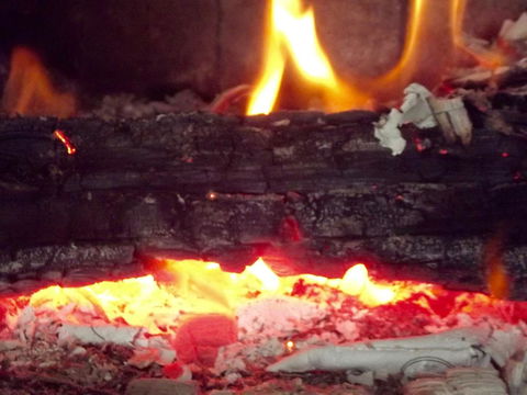 Eden Orchard & Farmstay - Darwin Holiday 3