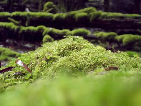 Eden Orchard & Farmstay - Darwin Holiday 14