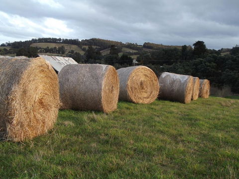 Eden Orchard & Farmstay - Darwin Holiday 35