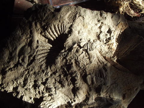 Eden Orchard & Farmstay - Darwin Holiday 34