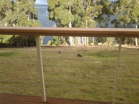 Marinavisage - Darwin Holiday 20