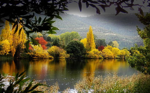 Platypus Playground Riverside Cottage - Darwin Holiday 15