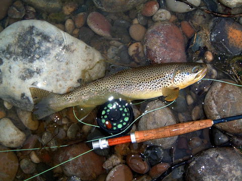 Platypus Playground Riverside Cottage - Darwin Holiday 18