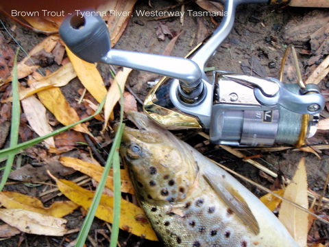 Platypus Playground Riverside Cottage - Darwin Holiday 20