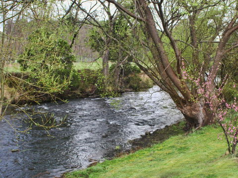 Platypus Playground Riverside Cottage - Darwin Holiday 22