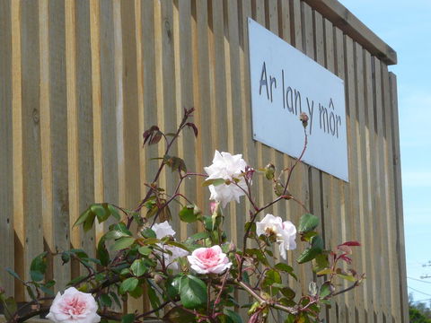 Ar Lan Y Mor - Darwin Holiday 12
