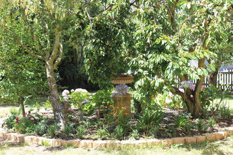 Bellamona - Darwin Holiday 23