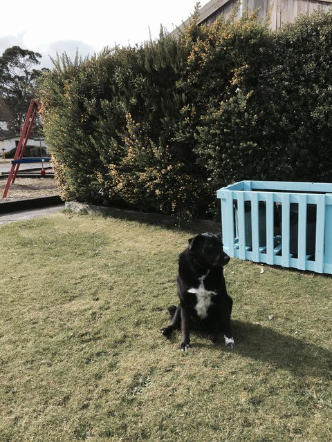 Strahan Beach Tourist Park - Darwin Holiday 9