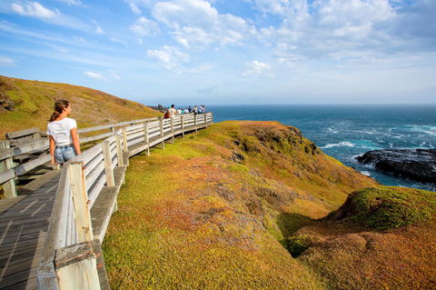 BIG4 Ingenia Holidays Phillip Island - Darwin Holiday 19