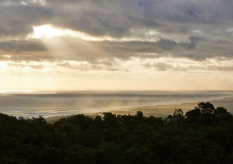 RACV Cape Schanck Resort - Darwin Holiday 6