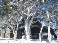 Book Dinner Plain Accommodation Vacations Darwin Holiday Darwin Holiday