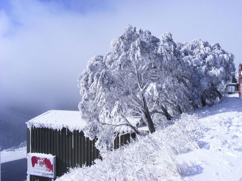 Arlberg Hotham - Darwin Holiday 15