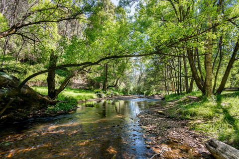 Avalon House - Darwin Holiday 7