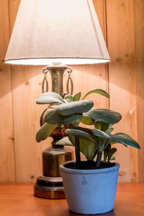 Avalon House - Darwin Holiday 41