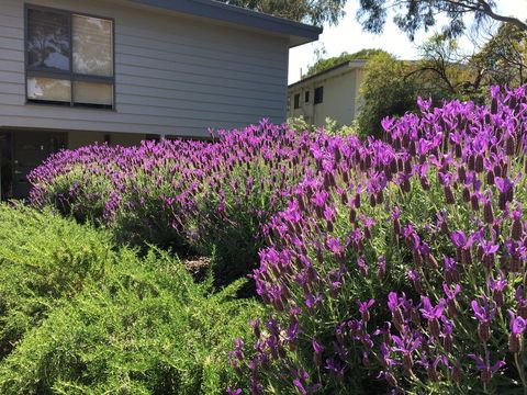 Kookas Retreat - Darwin Holiday 14