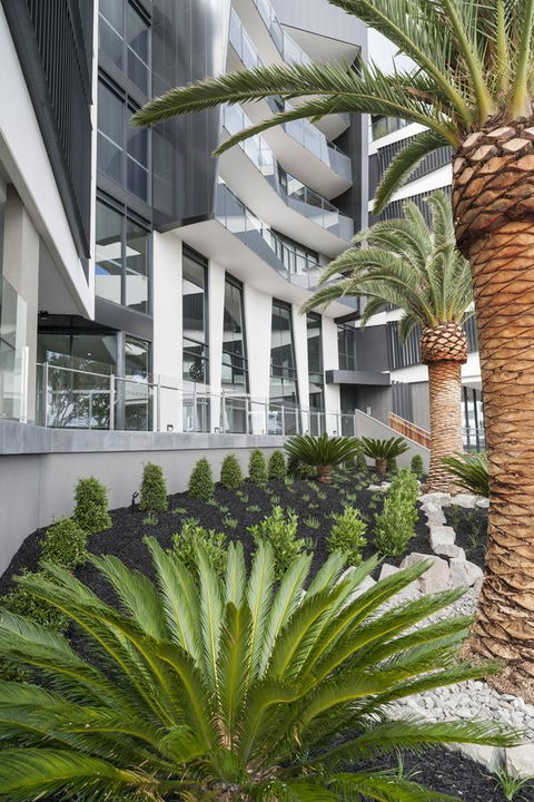 Caroline Serviced Apartments Sandringham - Darwin Holiday 3