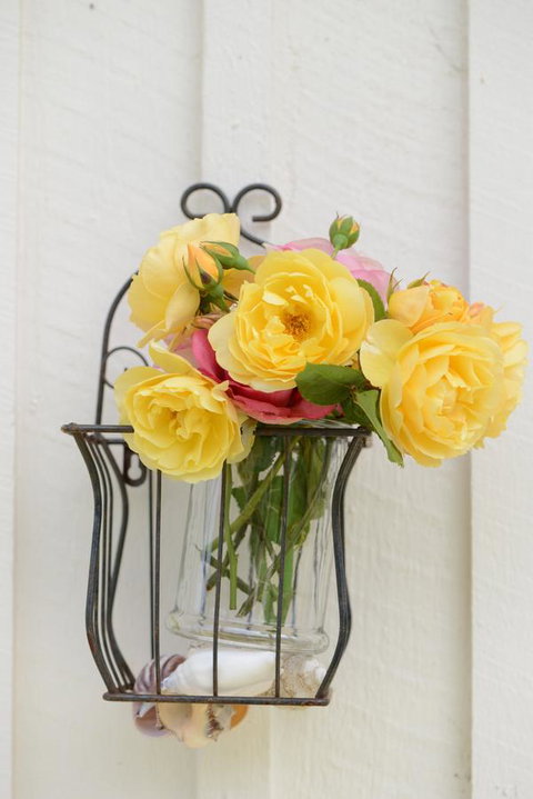 The Cottage - Darwin Holiday 38