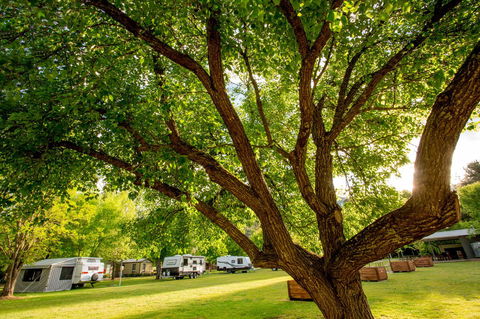 Discovery Parks - Bright - Darwin Holiday 31