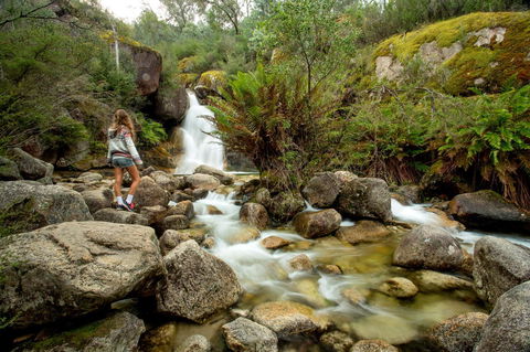 Discovery Parks - Bright - Darwin Holiday 21