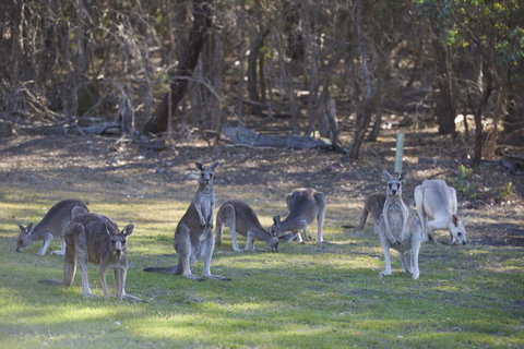 Yering Gorge Cottages - Darwin Holiday 14