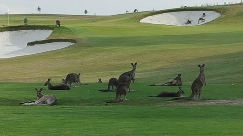 Yering Gorge Cottages - Darwin Holiday 10