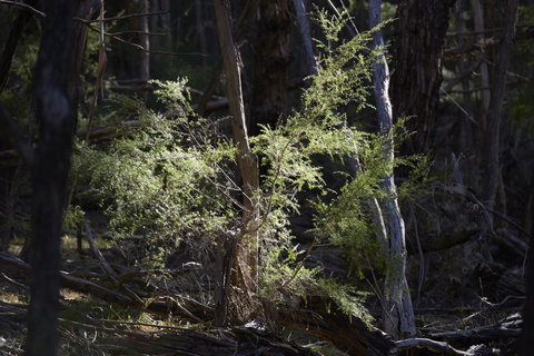 Yering Gorge Cottages - Darwin Holiday 19