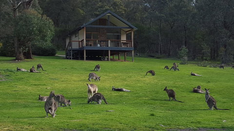 Yering Gorge Cottages - Darwin Holiday 6