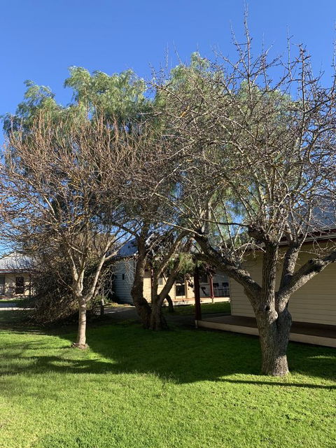 Dunkeld Studio Accommodation - Darwin Holiday 4