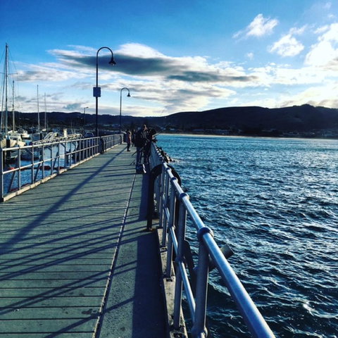 The Dolphin Apartments - Darwin Holiday 16