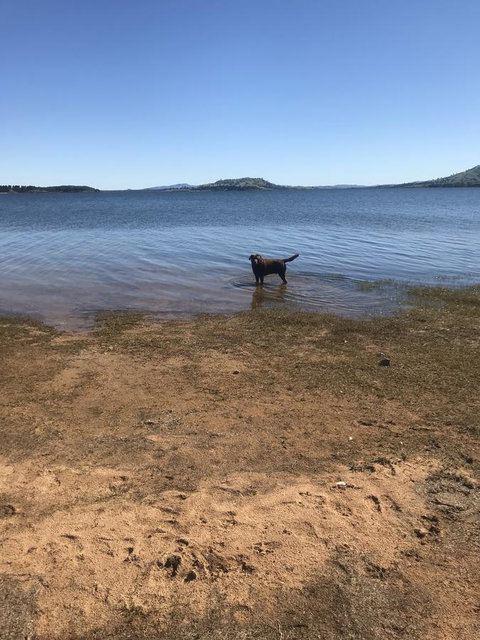 Snow View Holiday Units - Darwin Holiday 25