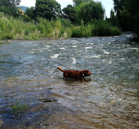 Snow View Holiday Units - Darwin Holiday 23