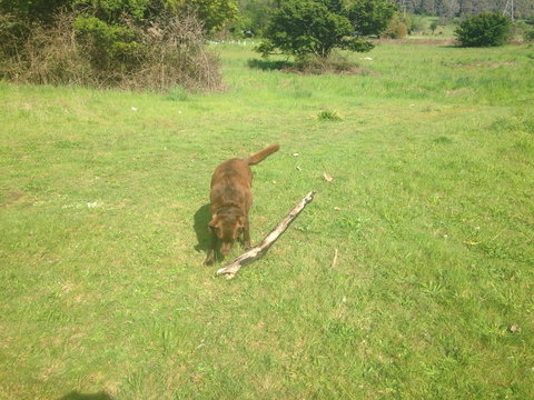 Snow View Holiday Units - Darwin Holiday 24