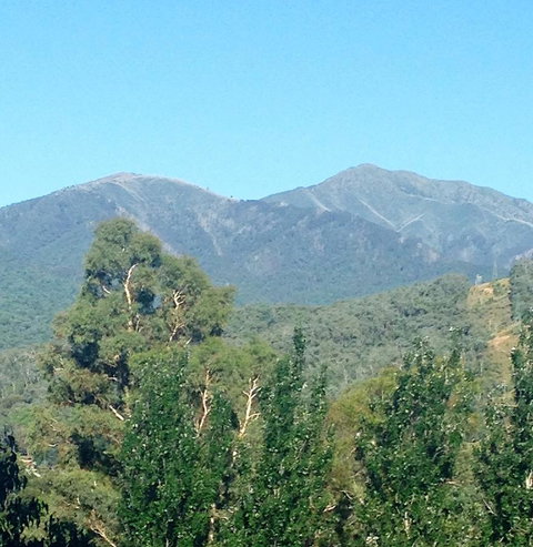 Snow View Holiday Units - Darwin Holiday 5