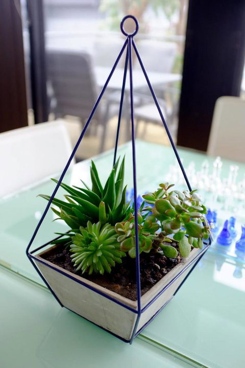 Ocean View Treetops Retreat - Darwin Holiday 15