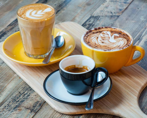 Essence Hotel Carlton - Darwin Holiday 42