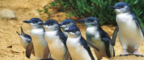 Quays Motel San Remo - Darwin Holiday 22