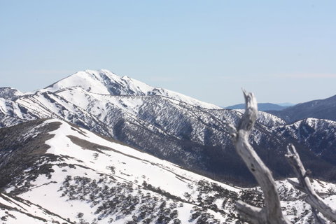 Shady Brook Cottages - Darwin Holiday 4