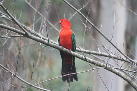 Shady Brook Cottages - Darwin Holiday 33
