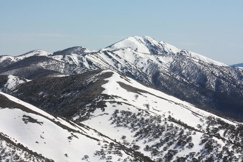Shady Brook Cottages - Darwin Holiday 31