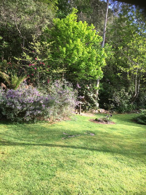 Shady Brook Cottages - Darwin Holiday 6