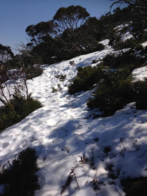 Shady Brook Cottages - Darwin Holiday 11