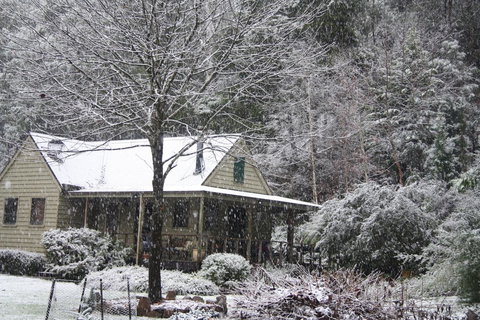 Shady Brook Cottages - Darwin Holiday 30