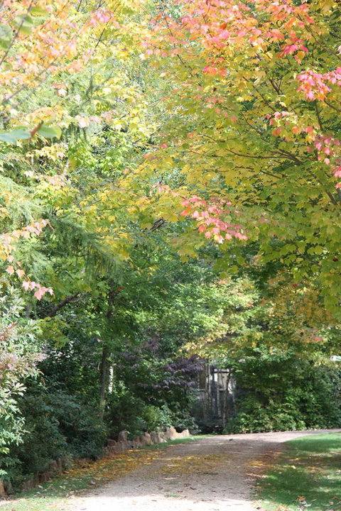 Shady Brook Cottages - Darwin Holiday 14