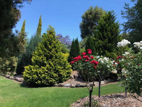 Valley View Lodge - Darwin Holiday 20