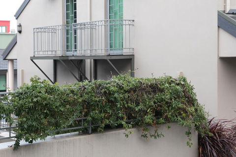 Quality Inn & Suites The Menzies - Darwin Holiday 23