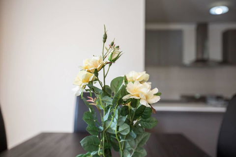 Holiday Rose - Darwin Holiday 8