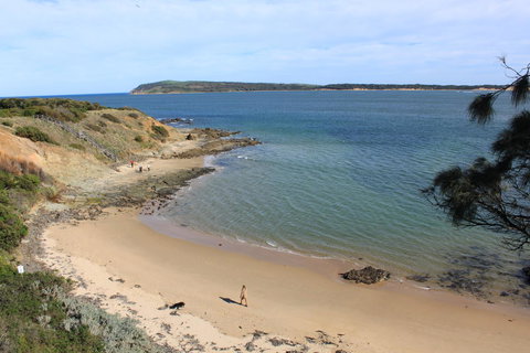 Pelicans Motel San Remo - Darwin Holiday 20